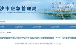 国产精品久久久久久久毛片,探寻久久久久久久毛片的魅力与内涵