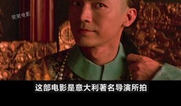 国产视频久久99