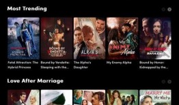 在线国产在线,在线平台引领潮流