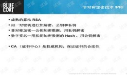 cao国产,历史、文化与现代发展的交融画卷