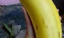 大香蕉国产情侣,甜蜜瞬间，浪漫演绎