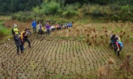 国产野外在线,国产野外在线之旅