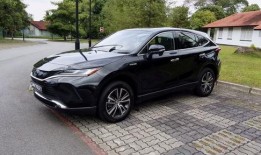 国产18p,探索中国影视产业的创新与突破