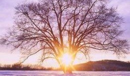 1024国产基地在线,探索中国科技产业的创新与发展