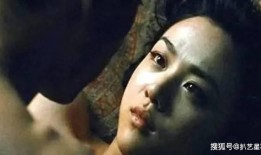 国产成人版,探索中国影视新领域