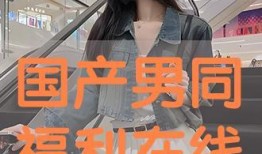 国产男同在线,探索情感与身份的多元表达