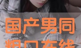 国产男同在线,探索情感与身份的多元表达