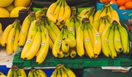 大香蕉在线 国产