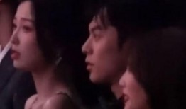 国产零零性,揭秘中国科技新势力崛起之路